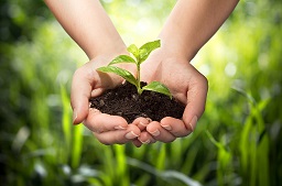 Plant Distribution | sm global school